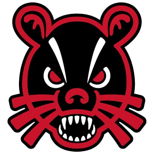 Cincinnati Bearcats Football