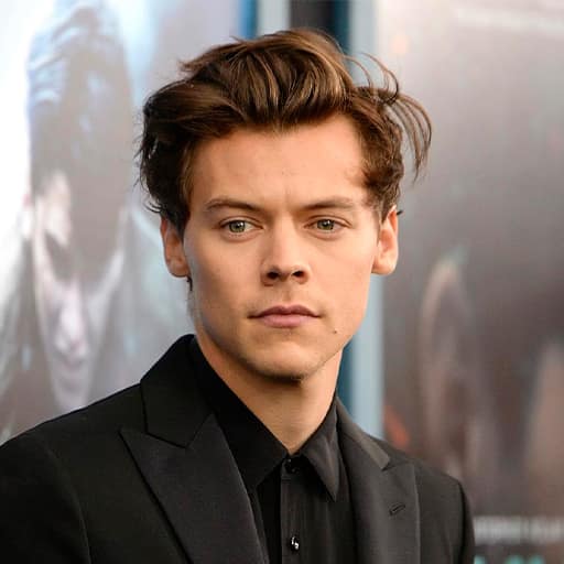 Harry Styles Concerts in New Orleans