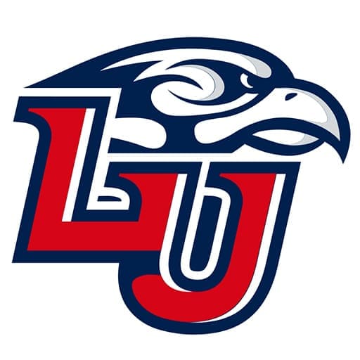 Liberty Flames Baseball