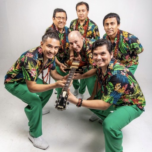 Los Mirlos Concerts in New Orleans