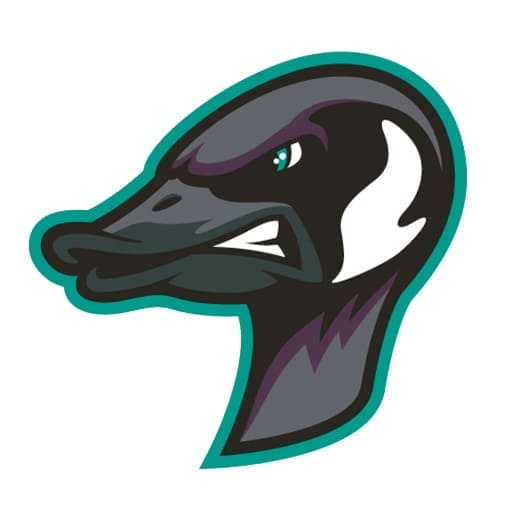 Rochester Honkers