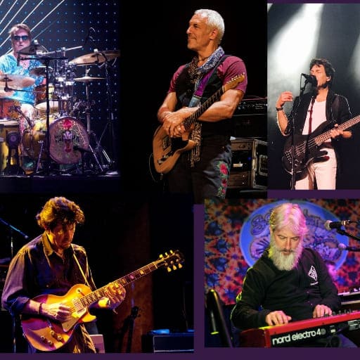 The Gilmour Project New Orleans Tickets